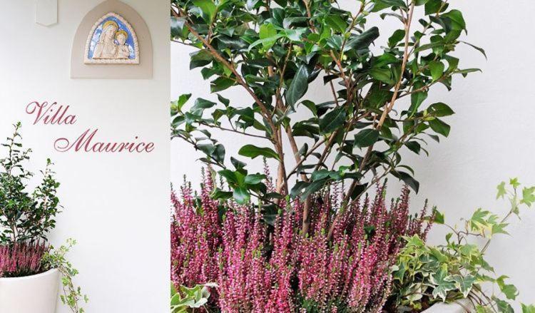 Residence Villa Maurice Stresa Ngoại thất bức ảnh